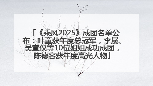 《乘风2025》成团名单公布：叶童获年度总冠军，李晟、吴宣仪等10位姐姐成功成团，陈德容获年度高光人物