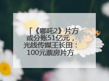 《哪吒2》片方或分账51亿元，光线传媒王长田：100元票房片方只拿33元，分账方式不合理