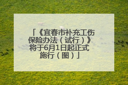 《宜春市补充工伤保险办法（试行）》将于6月1日起正式施行（图）