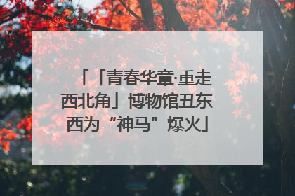「青春华章·重走西北角」博物馆丑东西为“神马”爆火