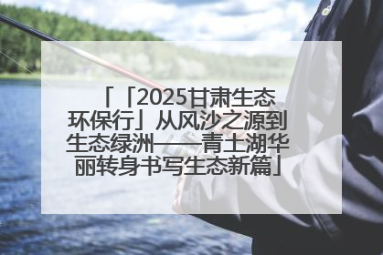 「2025甘肃生态环保行」从风沙之源到生态绿洲——青土湖华丽转身书写生态新篇
