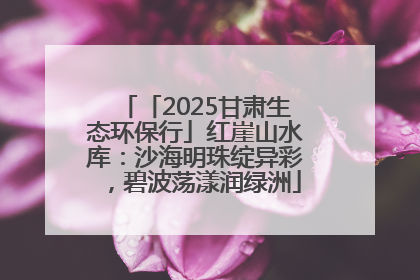 「2025甘肃生态环保行」红崖山水库：沙海明珠绽异彩，碧波荡漾润绿洲
