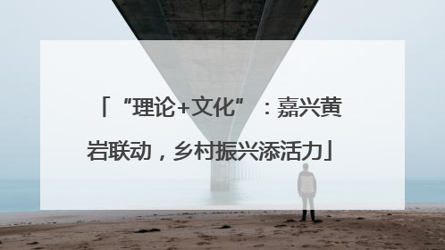 “理论+文化”：嘉兴黄岩联动，乡村振兴添活力