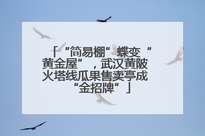 “简易棚”蝶变“黄金屋”，武汉黄陂火塔线瓜果售卖亭成“金招牌”