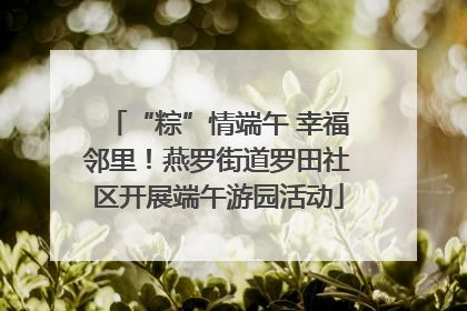 “粽”情端午 幸福邻里！燕罗街道罗田社区开展端午游园活动