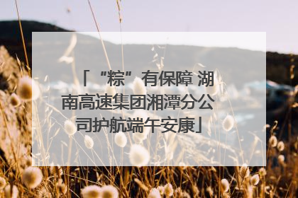 “粽”有保障 湖南高速集团湘潭分公司护航端午安康