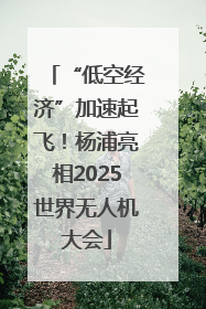 “低空经济”加速起飞！杨浦亮相2025世界无人机大会