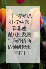 “侨约八桂·学中医 看非遗 谋八桂发展”海外侨商侨领研修班举行