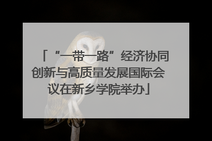 “一带一路”经济协同创新与高质量发展国际会议在新乡学院举办