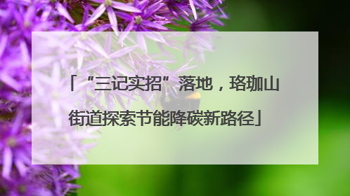“三记实招”落地，珞珈山街道探索节能降碳新路径