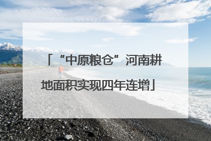 “中原粮仓”河南耕地面积实现四年连增