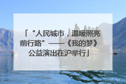 “人民城市，温暖照亮前行路”——《我的梦》公益演出在沪举行