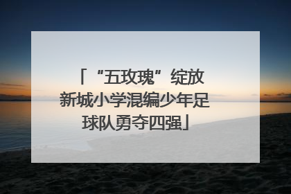 “五玫瑰”绽放 新城小学混编少年足球队勇夺四强