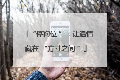 “停狗位 ”：让温情藏在 “方寸之间 ”