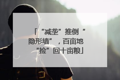 “减垄”推倒“隐形墙”，百亩地“捡”回十亩粮