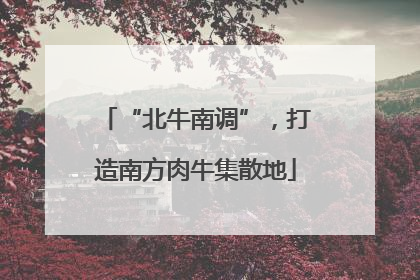 “北牛南调”，打造南方肉牛集散地