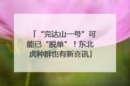 “完达山一号”可能已“脱单”！东北虎种群也有新喜讯