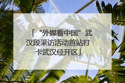 “外媒看中国”武汉段采访活动首站打卡武汉经开区