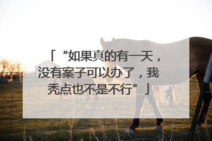 “如果真的有一天，没有案子可以办了，我秃点也不是不行”