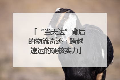 “当天达”背后的物流奇迹：跨越速运的硬核实力