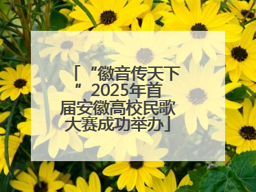 “徽音传天下”2025年首届安徽高校民歌大赛成功举办