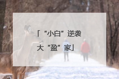 “小白”逆袭大“盈”家