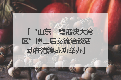 “山东—粤港澳大湾区”博士后交流洽谈活动在港澳成功举办