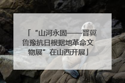 “山河永固——晋冀鲁豫抗日根据地革命文物展”在山西开展
