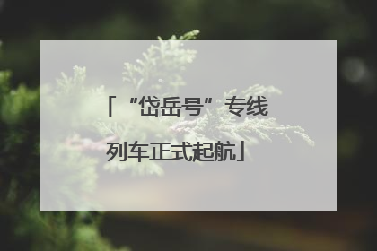 “岱岳号”专线列车正式起航