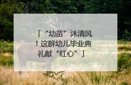 “幼苗”沐清风！这群幼儿毕业典礼献“红心”