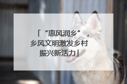 “惠风润乡”，乡风文明激发乡村振兴新活力