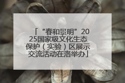 “春和景明”2025国家级文化生态保护（实验）区展示交流活动在洛举办