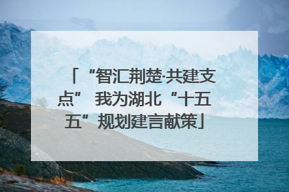 “智汇荆楚·共建支点” 我为湖北“十五五”规划建言献策
