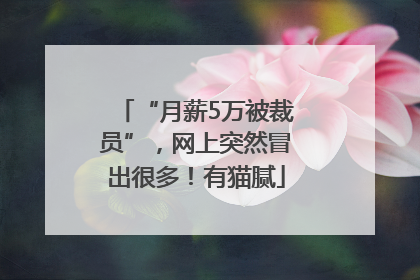“月薪5万被裁员”，网上突然冒出很多！有猫腻