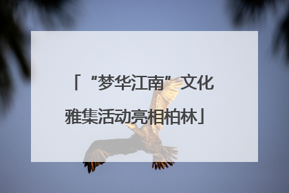 “梦华江南”文化雅集活动亮相柏林