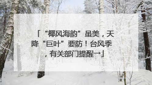 “椰风海韵”虽美，天降“巨叶”要防！台风季，有关部门提醒→