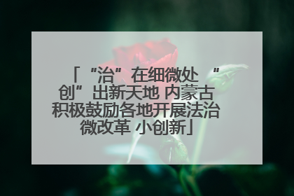 “治”在细微处 “创”出新天地 内蒙古积极鼓励各地开展法治微改革 小创新