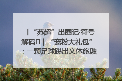 “苏超”出圈记·符号解码㉛｜“宠粉大礼包”：一颗足球踢出文体旅融合“链式反应”