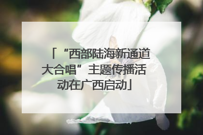 “西部陆海新通道大合唱”主题传播活动在广西启动