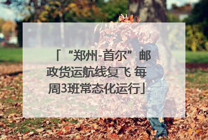 “郑州-首尔”邮政货运航线复飞 每周3班常态化运行