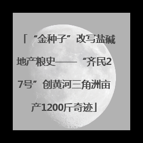 “金种子”改写盐碱地产粮史——“齐民27号”创黄河三角洲亩产1200斤奇迹
