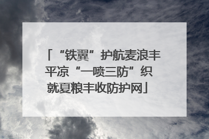 “铁翼”护航麦浪丰 平凉“一喷三防”织就夏粮丰收防护网