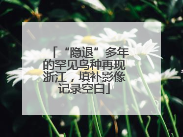 “隐退”多年的罕见鸟种再现浙江，填补影像记录空白