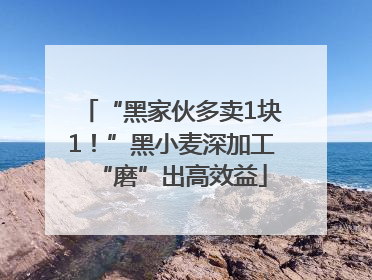 “黑家伙多卖1块1！”黑小麦深加工“磨”出高效益