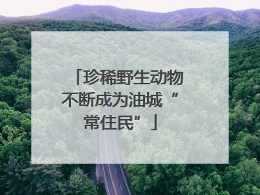 珍稀野生动物不断成为油城“常住民”