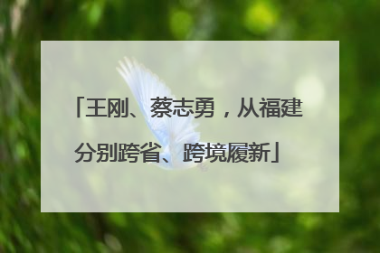 王刚、蔡志勇，从福建分别跨省、跨境履新