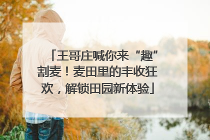 王哥庄喊你来“趣”割麦！麦田里的丰收狂欢，解锁田园新体验