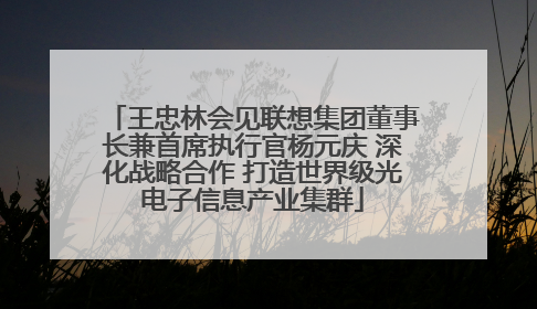 王忠林会见联想集团董事长兼首席执行官杨元庆 深化战略合作 打造世界级光电子信息产业集群