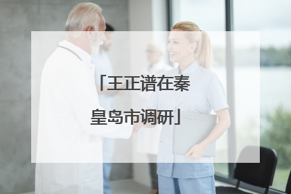 王正谱在秦皇岛市调研
