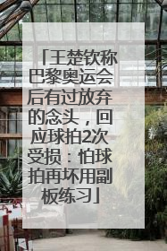 王楚钦称巴黎奥运会后有过放弃的念头，回应球拍2次受损：怕球拍再坏用副板练习